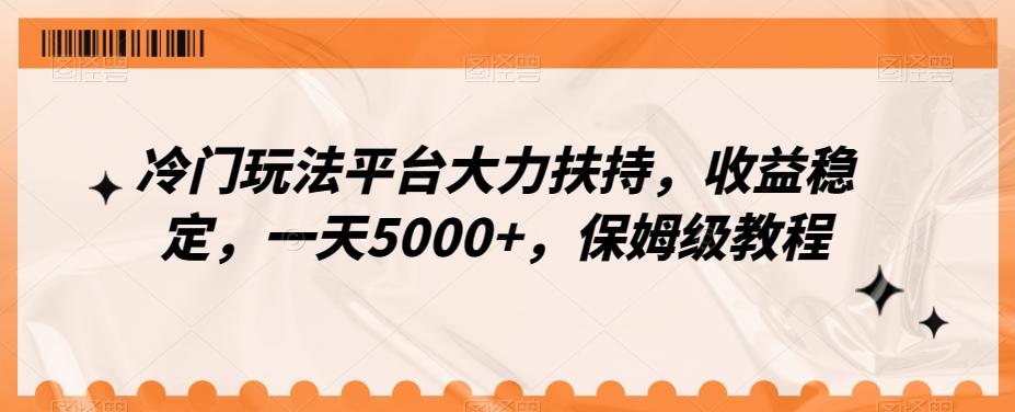 冷门玩法平台大力扶持，收益稳定，一天5000+，保姆级教程（附抖音7天起号法）-511资料网