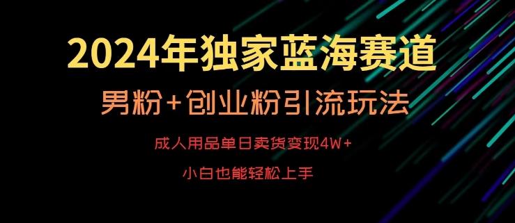 2024年独家蓝海赛道，成人用品单日卖货变现4W+，男粉+创业粉引流玩法，不愁搞不到流量【揭秘】-511资料网