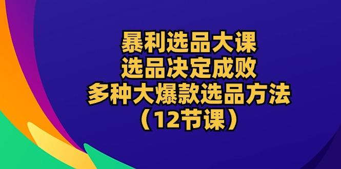 暴利 选品大课：选品决定成败，教你多种大爆款选品方法(12节课-511资料网