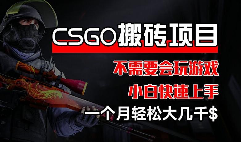 CSGO 装备搬砖项目，操作简单，不需要会玩游戏，小白也能快速上手，一个月轻松大几千【揭秘】-511资料网