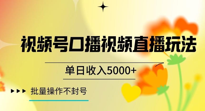 视频号囗播视频直播玩法，单日收入5000+，批量操作不封号【揭秘】-511资料网