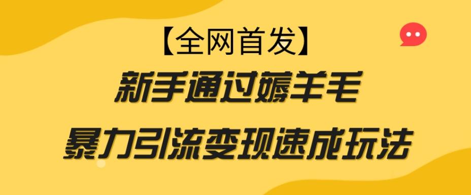 【全网首发】新手通过薅羊毛暴力引流变现速成玩法-511资料网