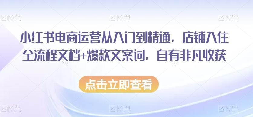 小红书电商运营从入门到精通，店铺入住全流程文档+爆款文案词，自有非凡收获-511资料网
