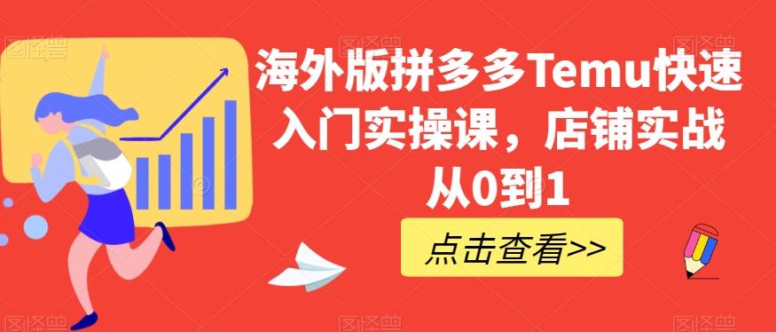 海外版拼多多Temu快速入门实操课，店铺实战从0到1-511资料网
