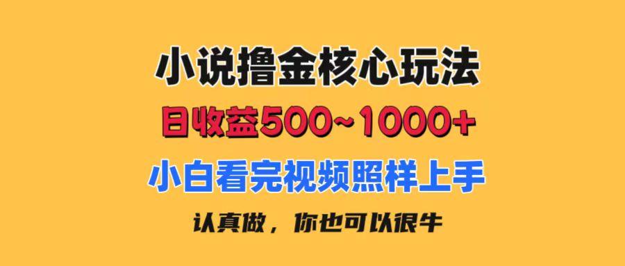 小说撸金核心玩法，日收益500-1000+，小白看完照样上手，0成本有手就行-511资料网