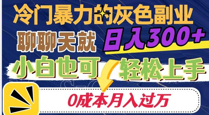 冷门暴利的副业项目，聊聊天就能日入300+，0成本月入过万【揭秘】-511资料网