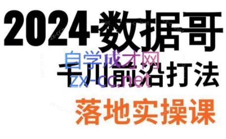 数据哥·2024年千川前沿打法落地实操课-511资料网