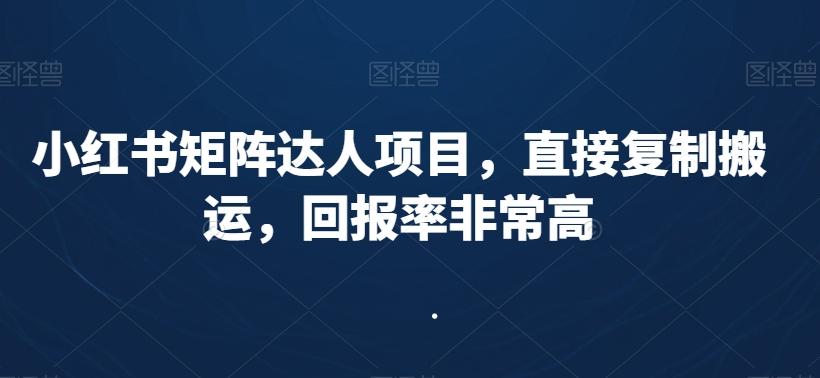 小红书矩阵达人项目，直接复制搬运，回报率非常高-511资料网
