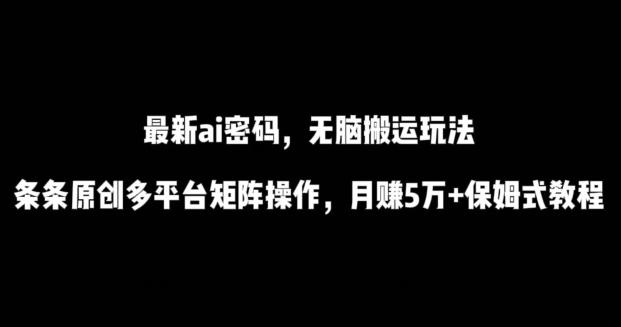 最新ai流量密码，傻瓜式搬运玩法，条条原创，多平台矩阵操作，月赚5万+保姆式教程【揭秘】-511资料网