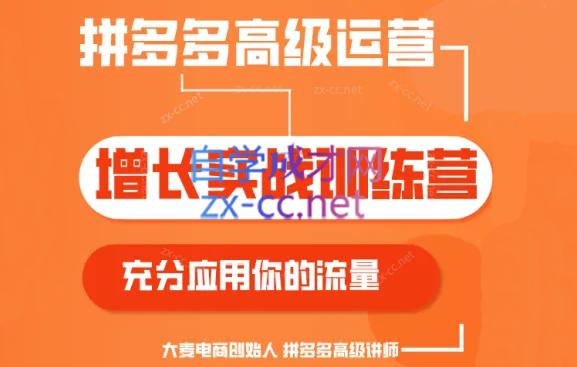 大麦老师·拼多多单品爆款打造课程(更新6月)-511资料网