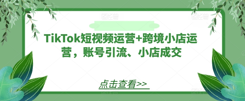 TikTok短视频运营+跨境小店运营，账号引流、小店成交-511资料网