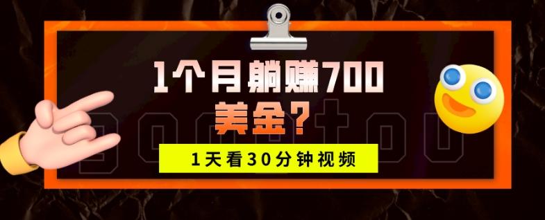 1天看30分钟视频，1个月躺赚700美金？-511资料网