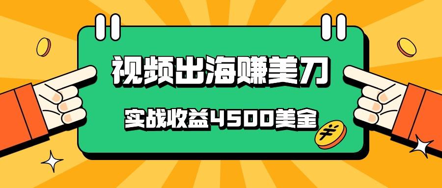 国内爆款视频出海赚美刀，实战收益4500美金，批量无脑搬运，无需经验直接上手-511资料网