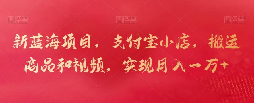 新蓝海项目，支付宝小店，搬运商品和视频，实现月入一万+【揭秘】-511资料网