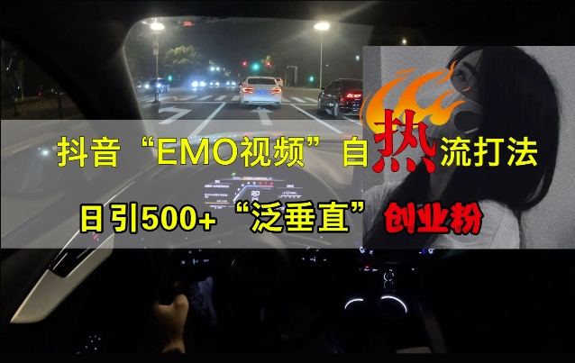 抖音EMO视频自热打法，日引500+“泛垂直”创业粉-511资料网