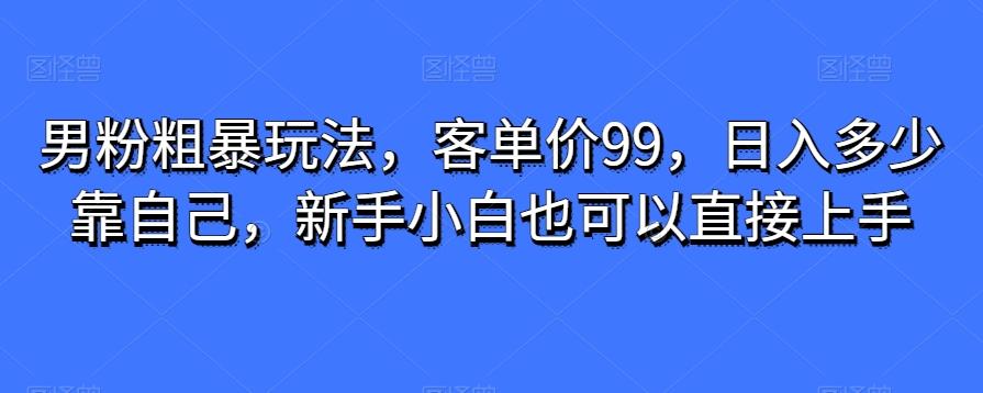 男粉粗暴玩法，客单价99，日入多少靠自己，新手小白也可以直接上手-511资料网