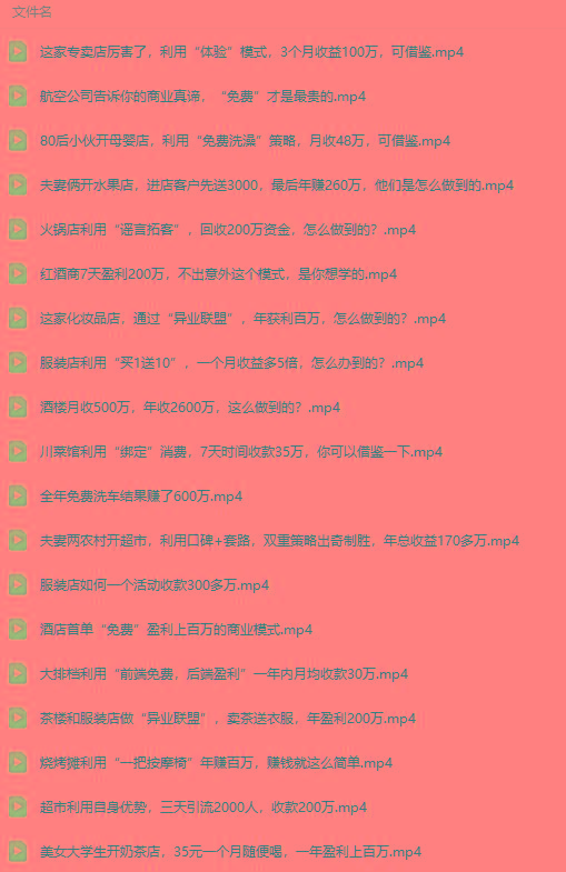 图片[5]-(9607期)真实有效391套商业模式，年入几十到几百万案例解析(电子书+视频+图文)-511资料网