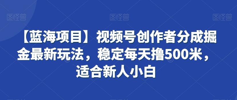 【蓝海项目】视频号创作者分成掘金最新玩法，稳定每天撸500米，适合新人小白【揭秘】-511资料网