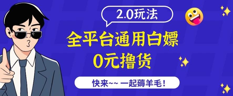 外面收费2980的全平台通用白嫖撸货项目2.0玩法【仅揭秘】-511资料网
