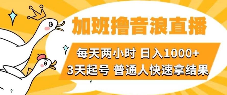 加班撸音浪直播，每天两小时，日入1000+，直播话术才3句，3天起号，普通人快速拿结果【揭秘】-511资料网