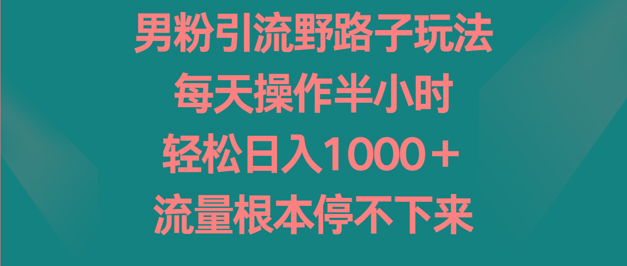 男粉引流野路子玩法，每天操作半小时轻松日入1000＋，流量根本停不下来-511资料网