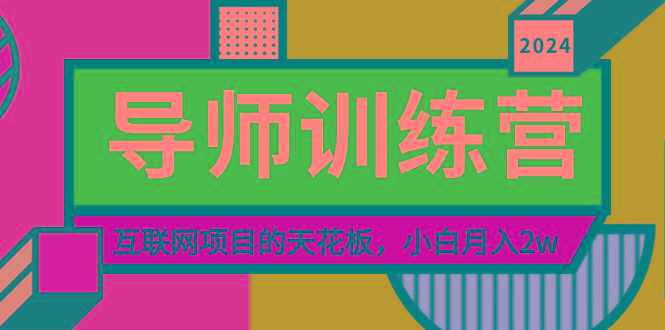 《导师训练营》精准粉丝引流的天花板，小白月入2w-511资料网