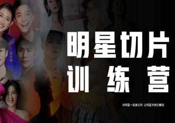 王子·明星切片线上训练营（2023），和明星一起拿红利，让明星为我们赚钱-511资料网