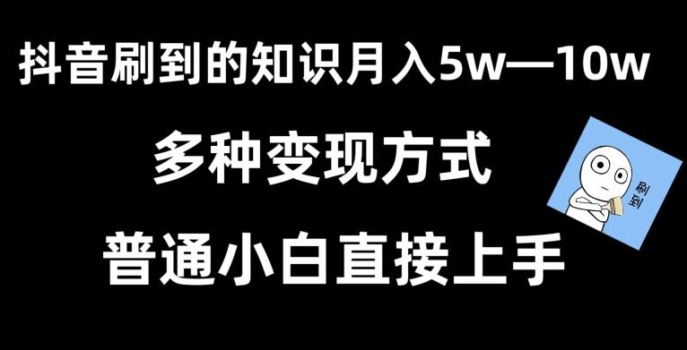 抖音刷到的知识，每天只需2小时，日入2000+，暴力变现，普通小白直接上手【揭秘】-511资料网