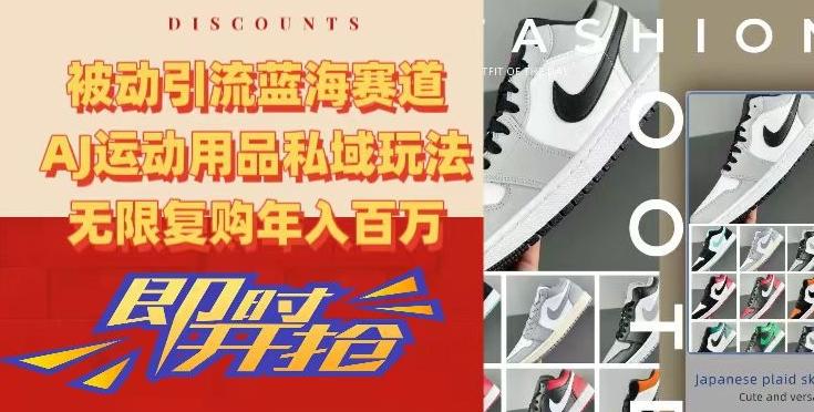 被动引流蓝海赛道，AJ运动用品私域玩法，无限复购年入百万【揭秘】-511资料网