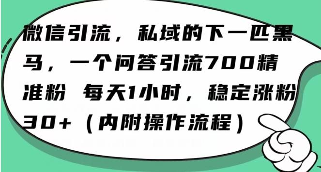 怎么搞精准创业粉？微信新赛道，每天一小时，利用Ai一个问答日引100精准粉-511资料网