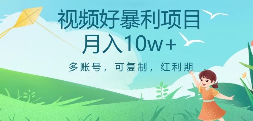 视频号暴利项目，多账号，可复制，红利期，月入10w+【揭秘】-511资料网