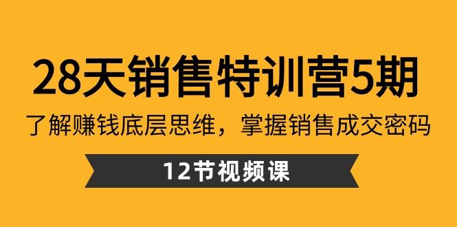 28天销售特训营5期：了解赚钱底层思维，掌握销售成交密码（12节课）-511资料网