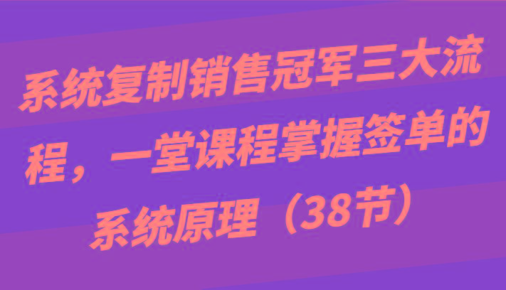 系统复制销售冠军三大流程，一堂课程掌握签单的系统原理(38节)-511资料网