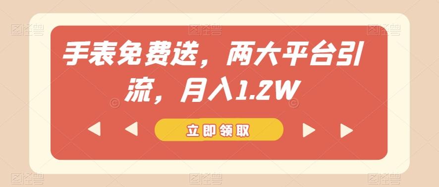手表免费送，两大平台引流，月入1.2W【揭秘】-511资料网