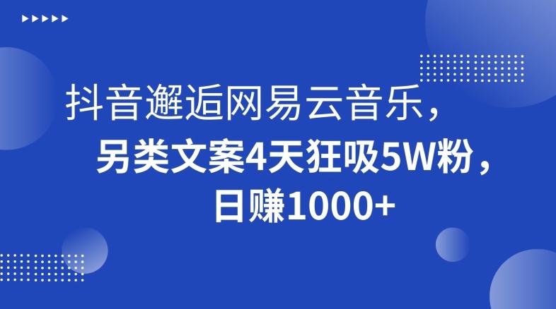 抖音邂逅网易云音乐，另类文案4天狂吸5W粉，日赚1000+【揭秘】-511资料网