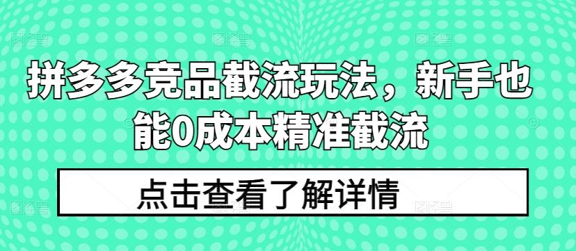 拼多多竞品截流玩法，新手也能0成本精准截流-511资料网