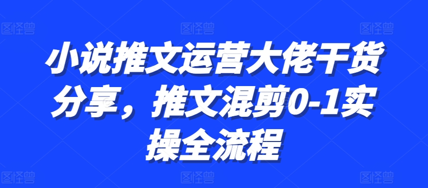 小说推文运营大佬干货分享，推文混剪0-1实操全流程-511资料网