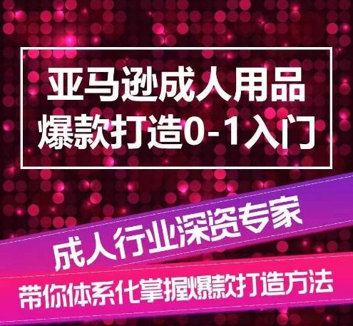 亚马逊成人用品爆款打造0-1入门，系统化讲解亚马逊成人用品爆款打造的流程-511资料网