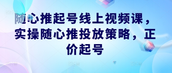 随心推起号线上视频课，实操随心推投放策略，正价起号-511资料网