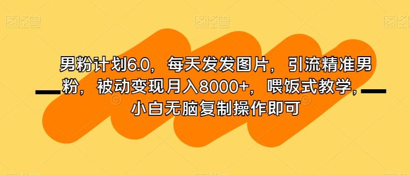 男粉计划6.0，每天发发图片，引流精准男粉，被动变现月入8000+，喂饭式教学，小白无脑复制操作即可-511资料网