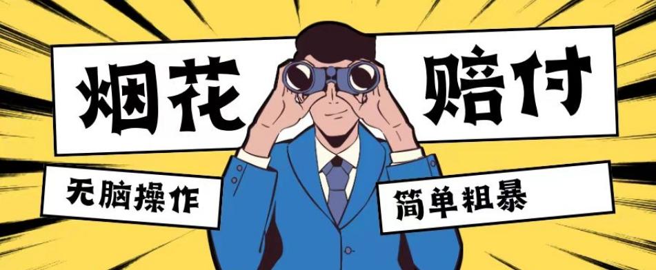 最新蓝海玩法，烟花爆竹赔付，单订单赔付200-500无脑操作【仅揭秘】-511资料网