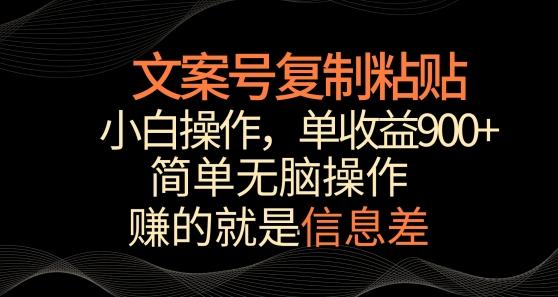 文案号掘金，简单复制粘贴，小白操作，单作品收益900+【揭秘】-511资料网