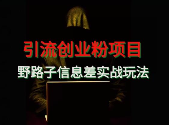 【引流创业粉】野路子信息差玩法实战教学-511资料网