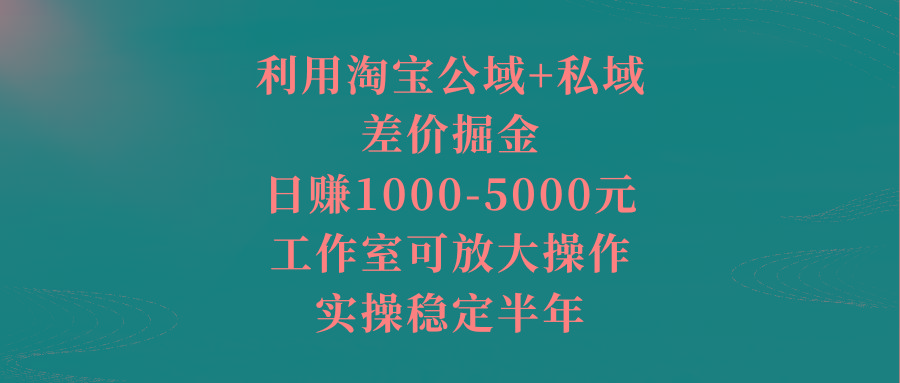 利用淘宝公域+私域差价掘金，日赚1000-5000元，工作室可放大操作，实操…-511资料网