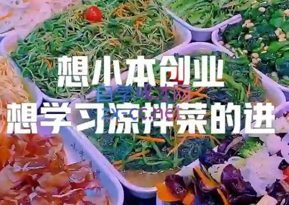 李记·精品凉拌菜系列热卤系列教程-511资料网