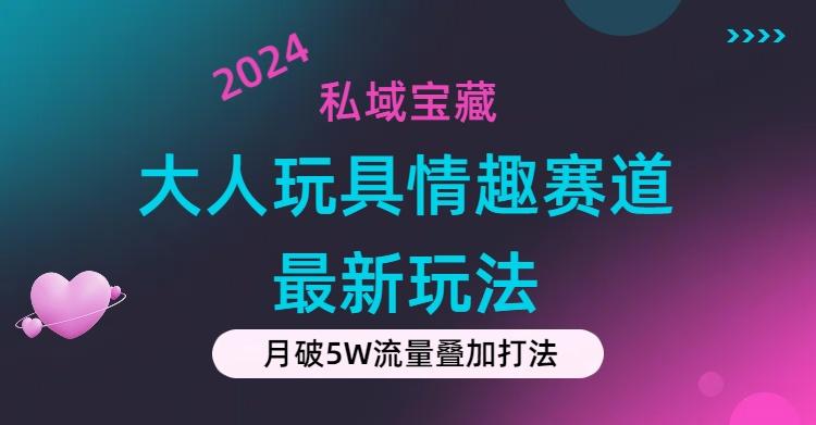 私域宝藏：大人玩具情趣赛道合规新玩法，零投入，私域超高流量成单率高-511资料网