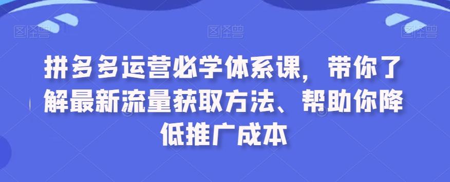 拼多多运营必学体系课，带你了解最新流量获取方法、帮助你降低推广成本-511资料网