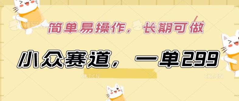 小众赛道，一单299.简单易操作，长期可做【揭秘】-511资料网