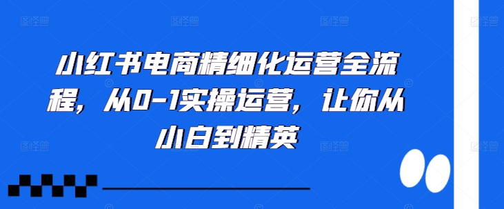 小红书电商精细化运营全流程，从0-1实操运营，让你从小白到精英-511资料网