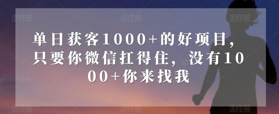 单日获客1000+的好项目，只要你微信扛得住，没有1000+你来找我【揭秘】-511资料网